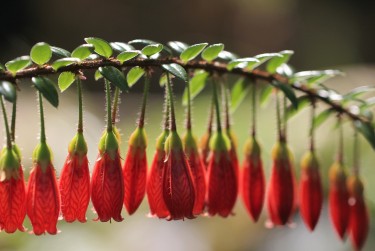 肇庆鼎湖区1私人快速借钱网，轻松解决资金难题