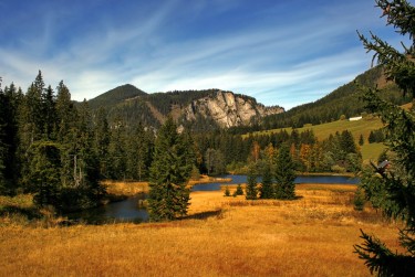 肇庆鼎湖区1民间私贷攻略：揭秘低成本借贷的秘密