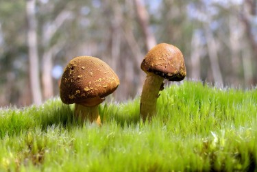 肇庆鼎湖区1私人老板放款：轻松融资的秘密通道